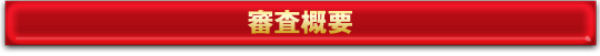 審査概要